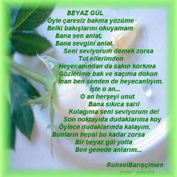 Şeref
