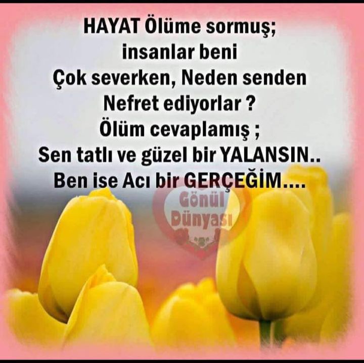 Iskender
