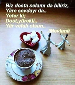 Selami
