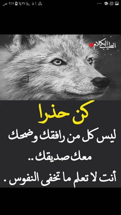 بشار