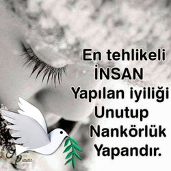 Nevzat