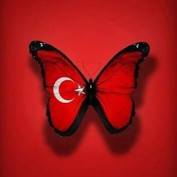 Lazoğlu