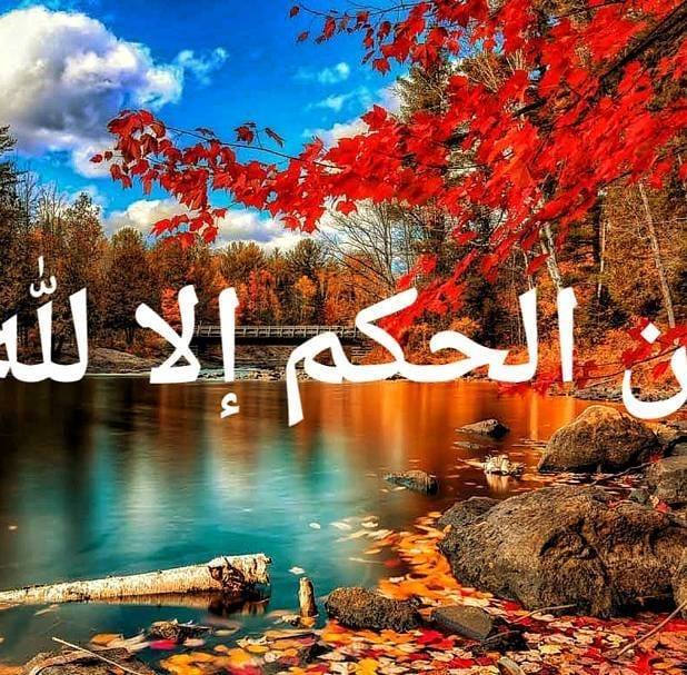 Ali