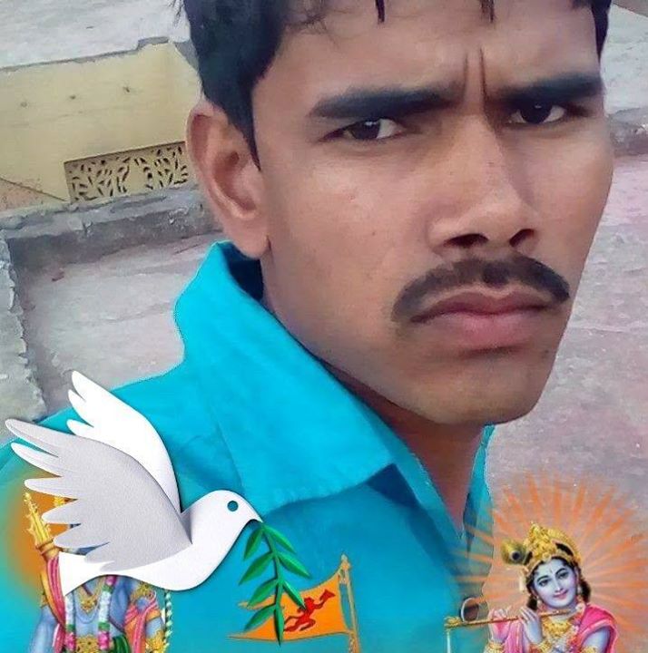 Anil