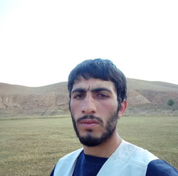 Hekim