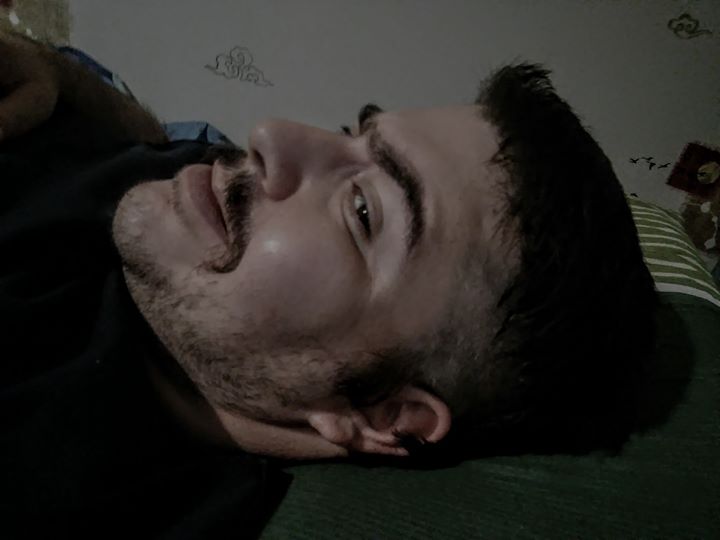 Şahin
