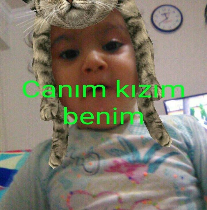 Erkan