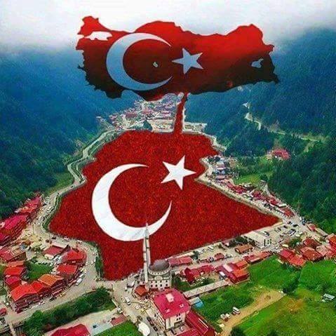Mahmut