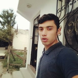 Ali