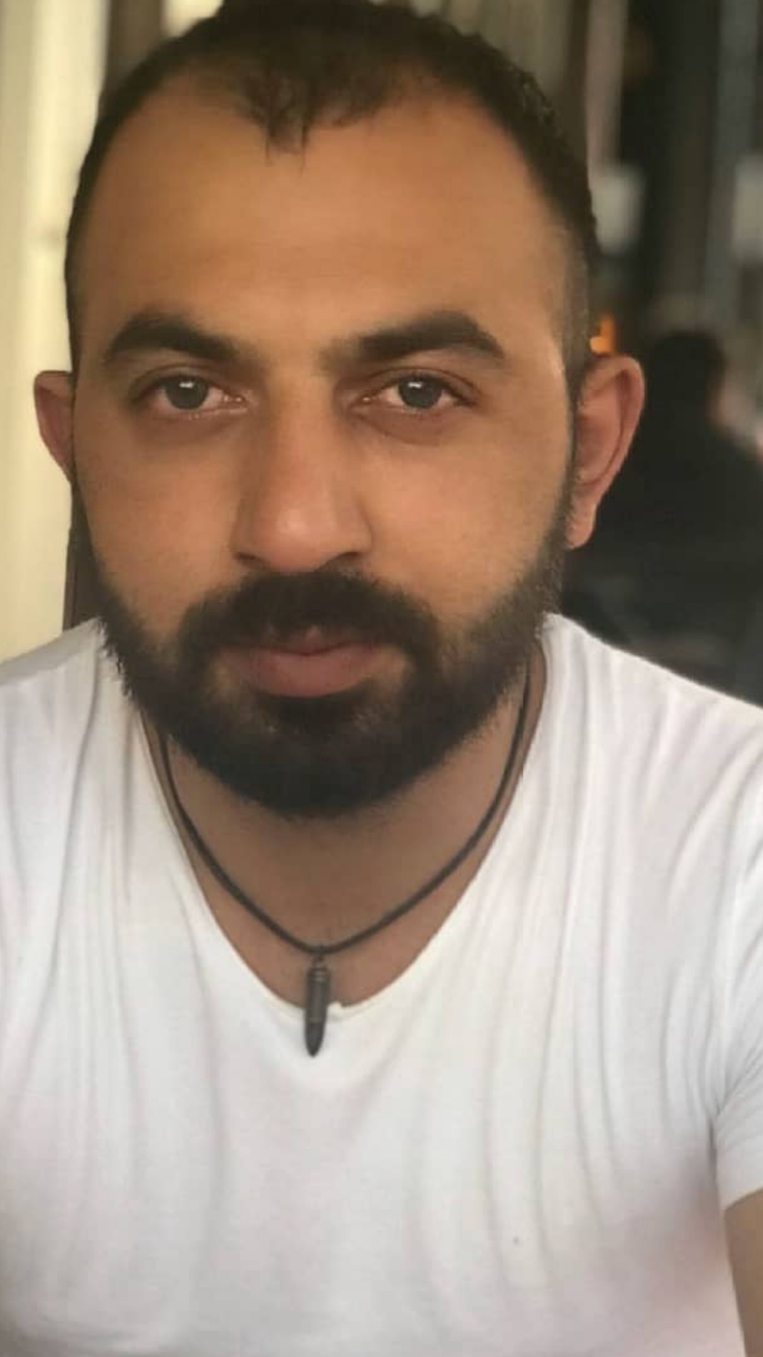 Şahin