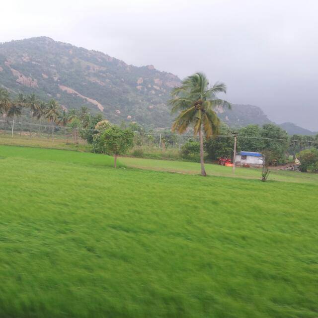 Praveen
