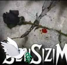 Sedat