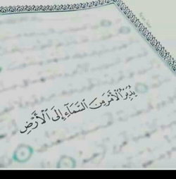 همسات
