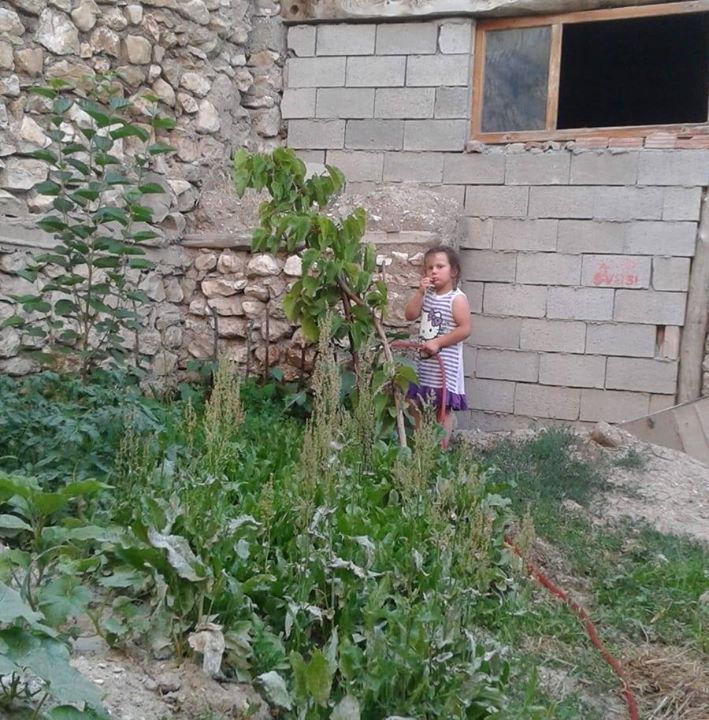 Hurşit