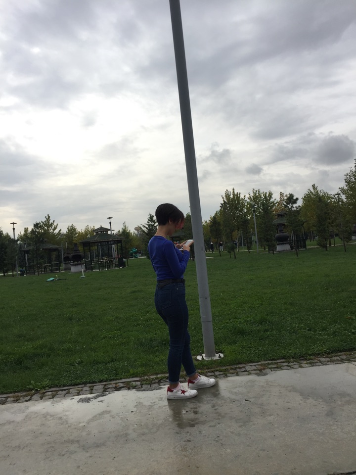 Nur