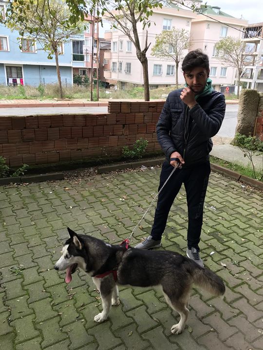 Metehan