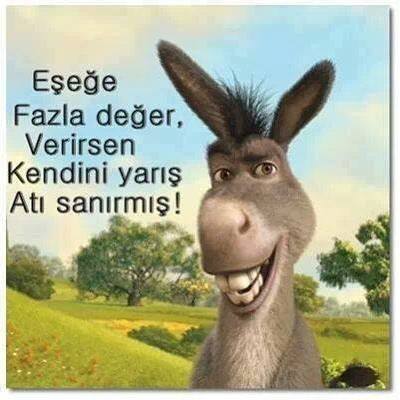 Maviş
