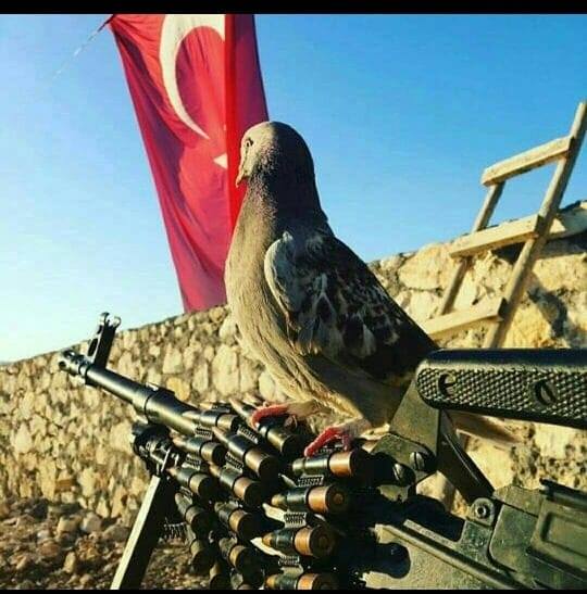 ÖmEr
