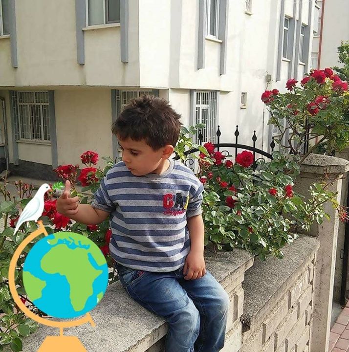 Sefer
