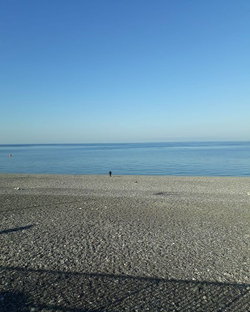 Aydın