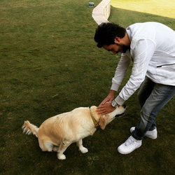 Murat