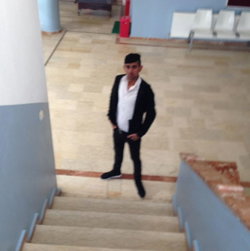 Ergin