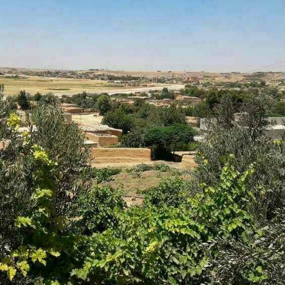 معين