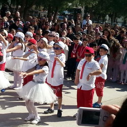 Ordu
