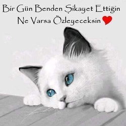Akın