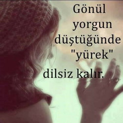Ercan
