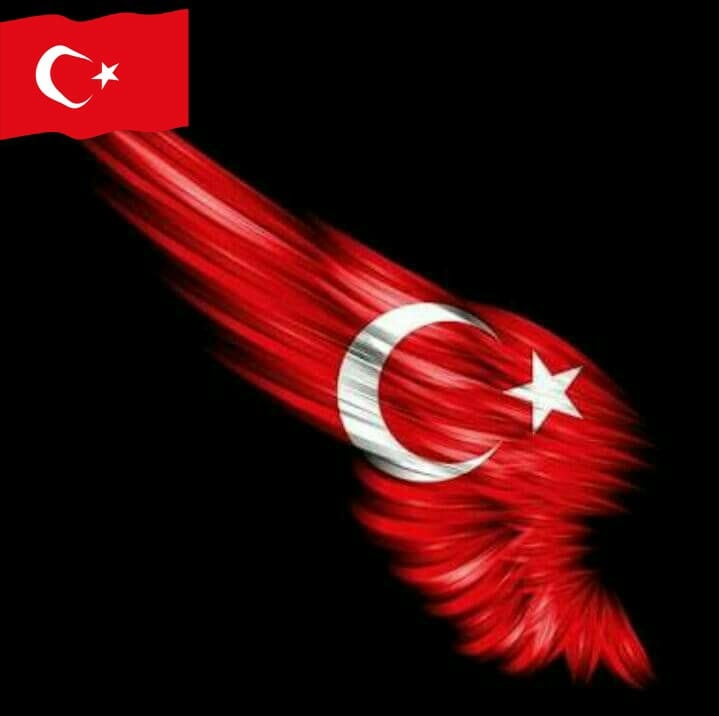 Çınar