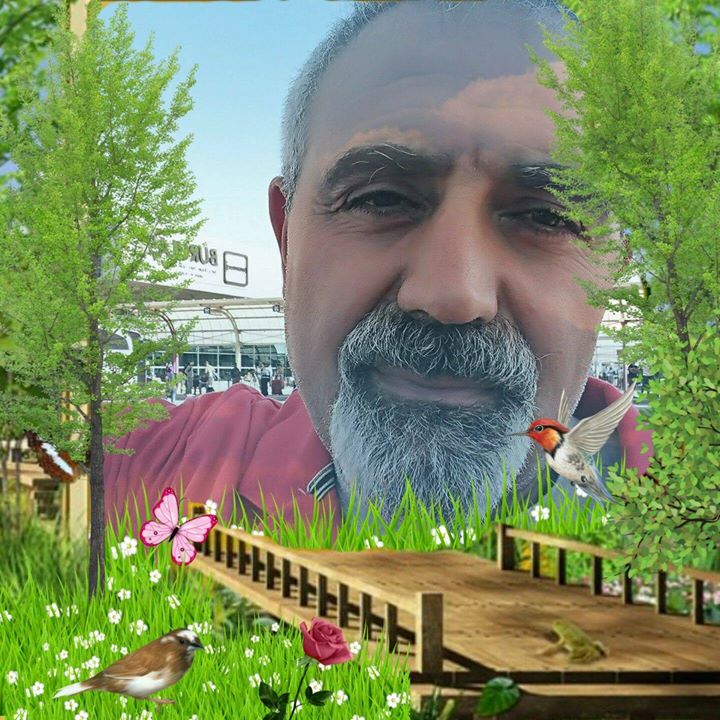 Ergünsarikas