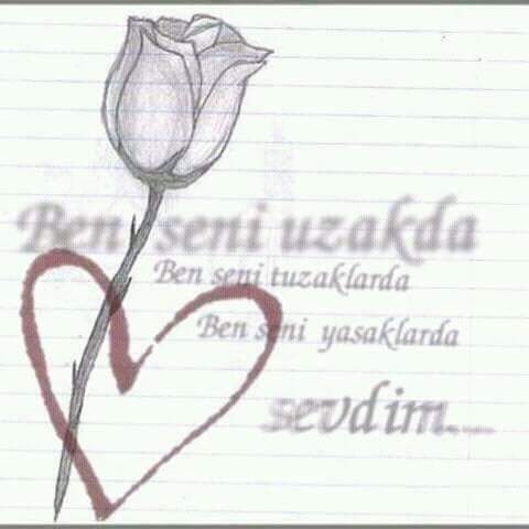 Sedat