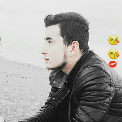 Ferdi
