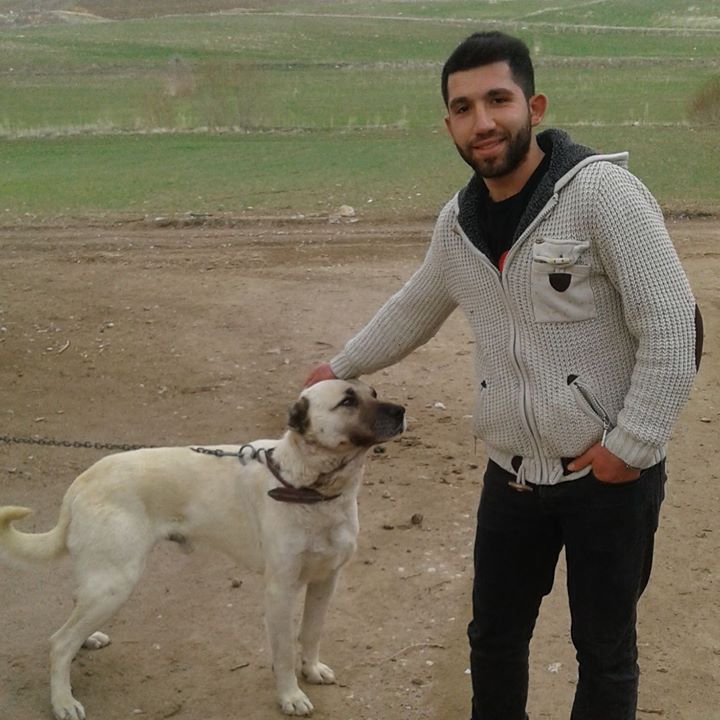Enes