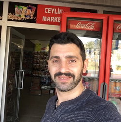 Şahin
