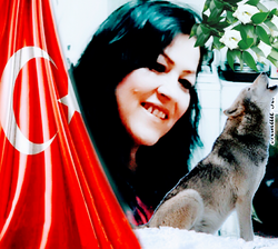 Aysun