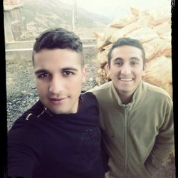 Umut