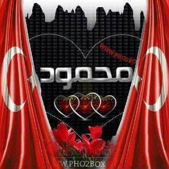 محمود