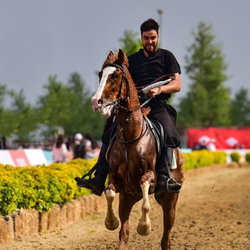 Murat