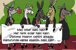 Harun