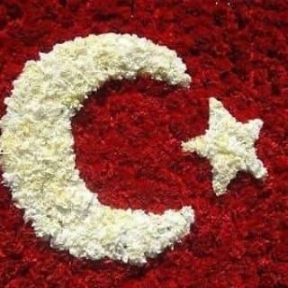 Şahin