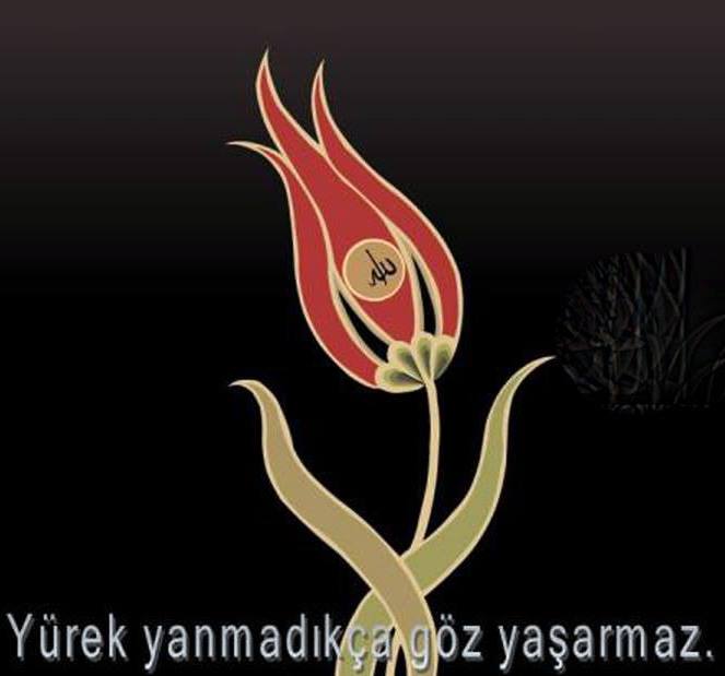 Alper