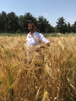 Nuri