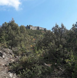 Gencertan