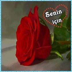 Elif