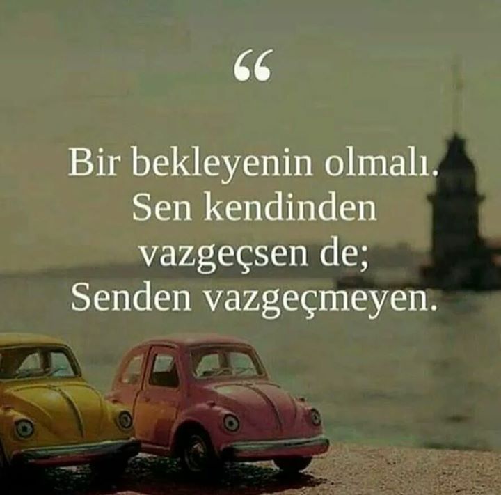Veysi