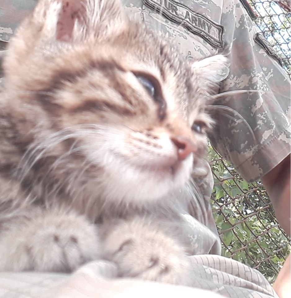 Burak