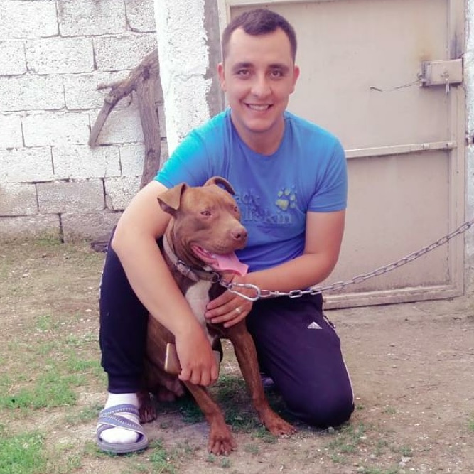 Güneş