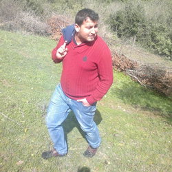 Halil